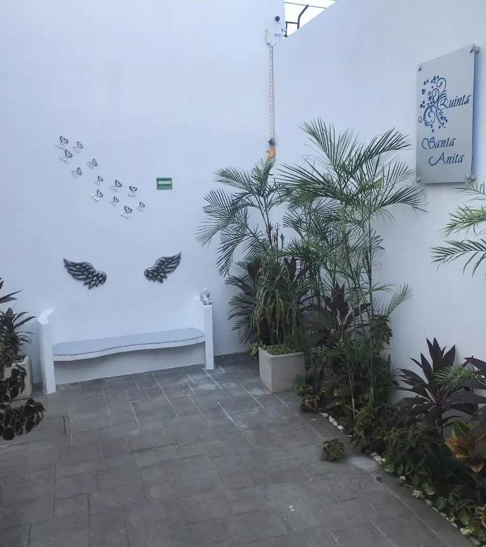 מלון פלאייה דל כרמן Quinta Santa Anita