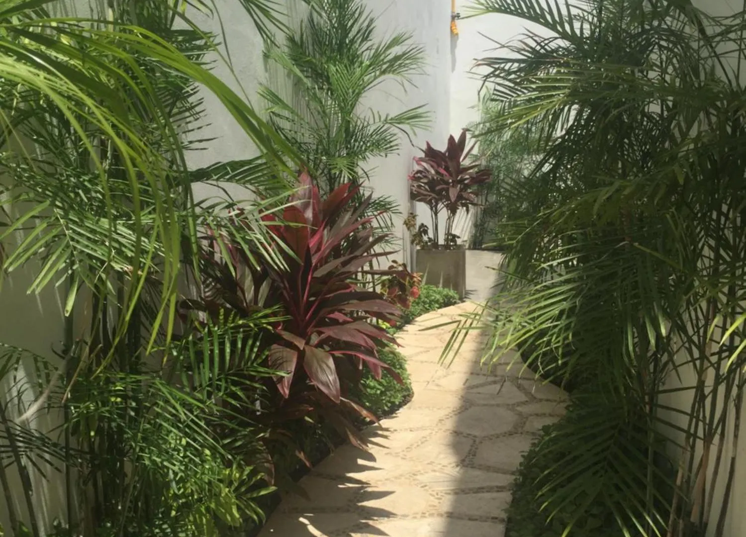 Quinta Santa Anita Hotel Playa del Carmen